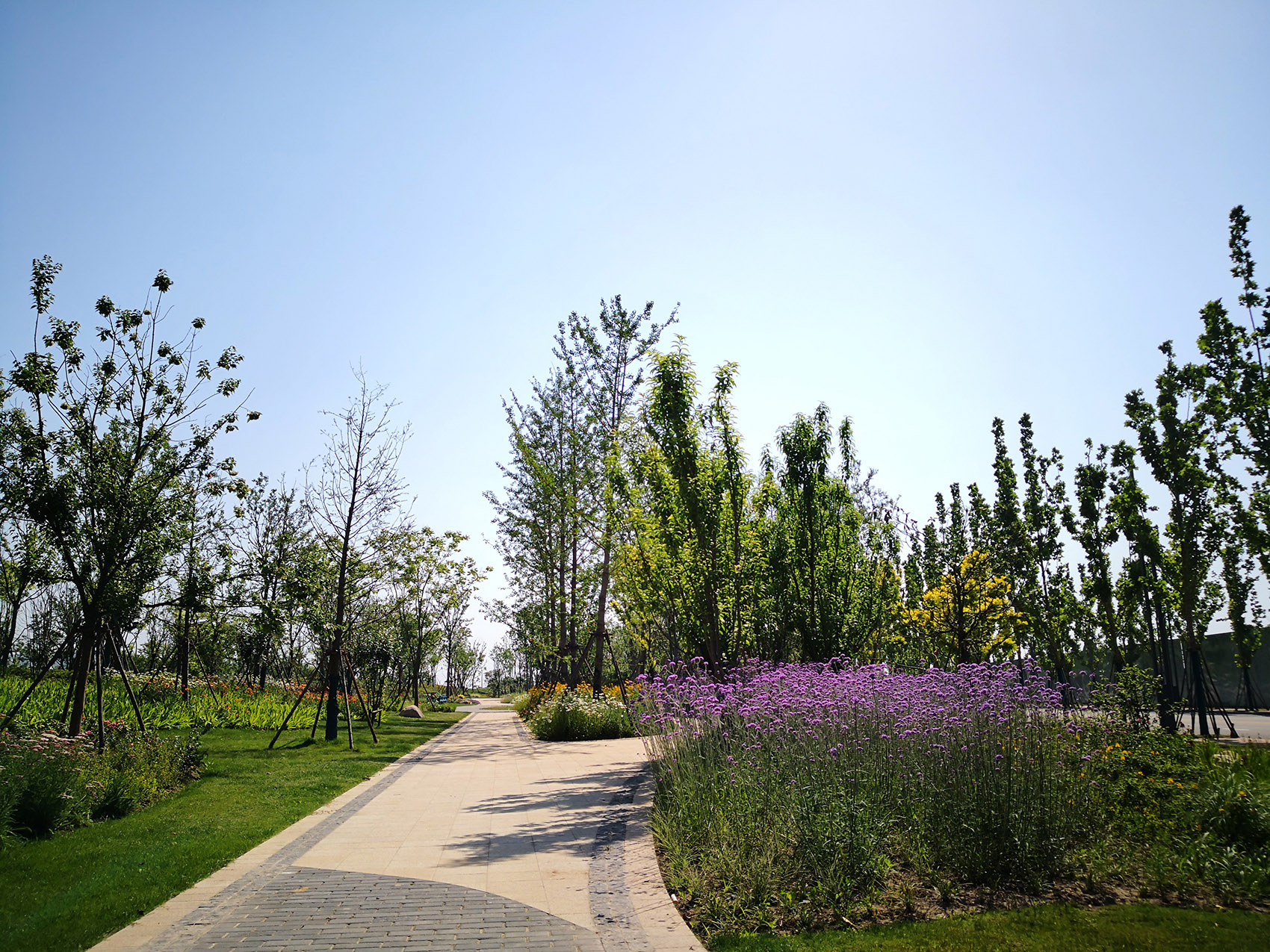 新加坡·南京生态科技岛-95