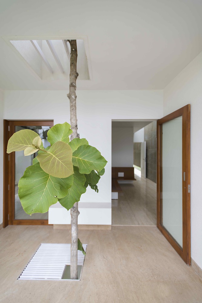 印度 Ashish Cherian 住宅-22