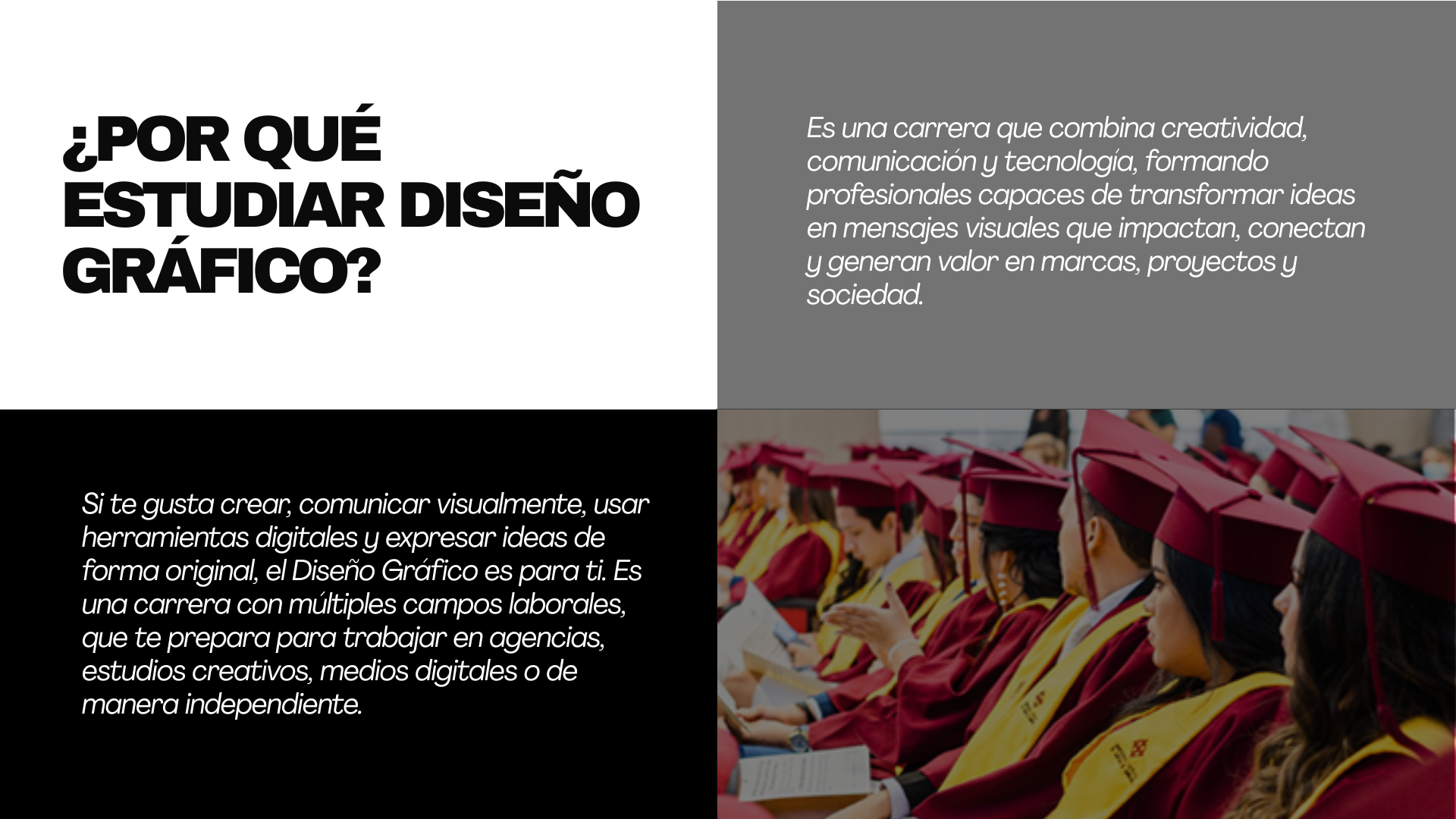 página web-7