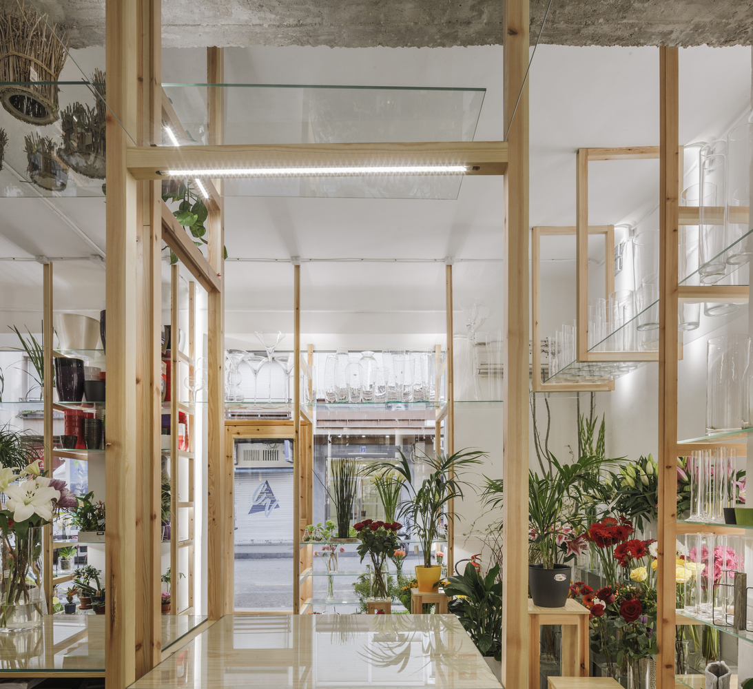 兰花梯子的奇幻空间-33