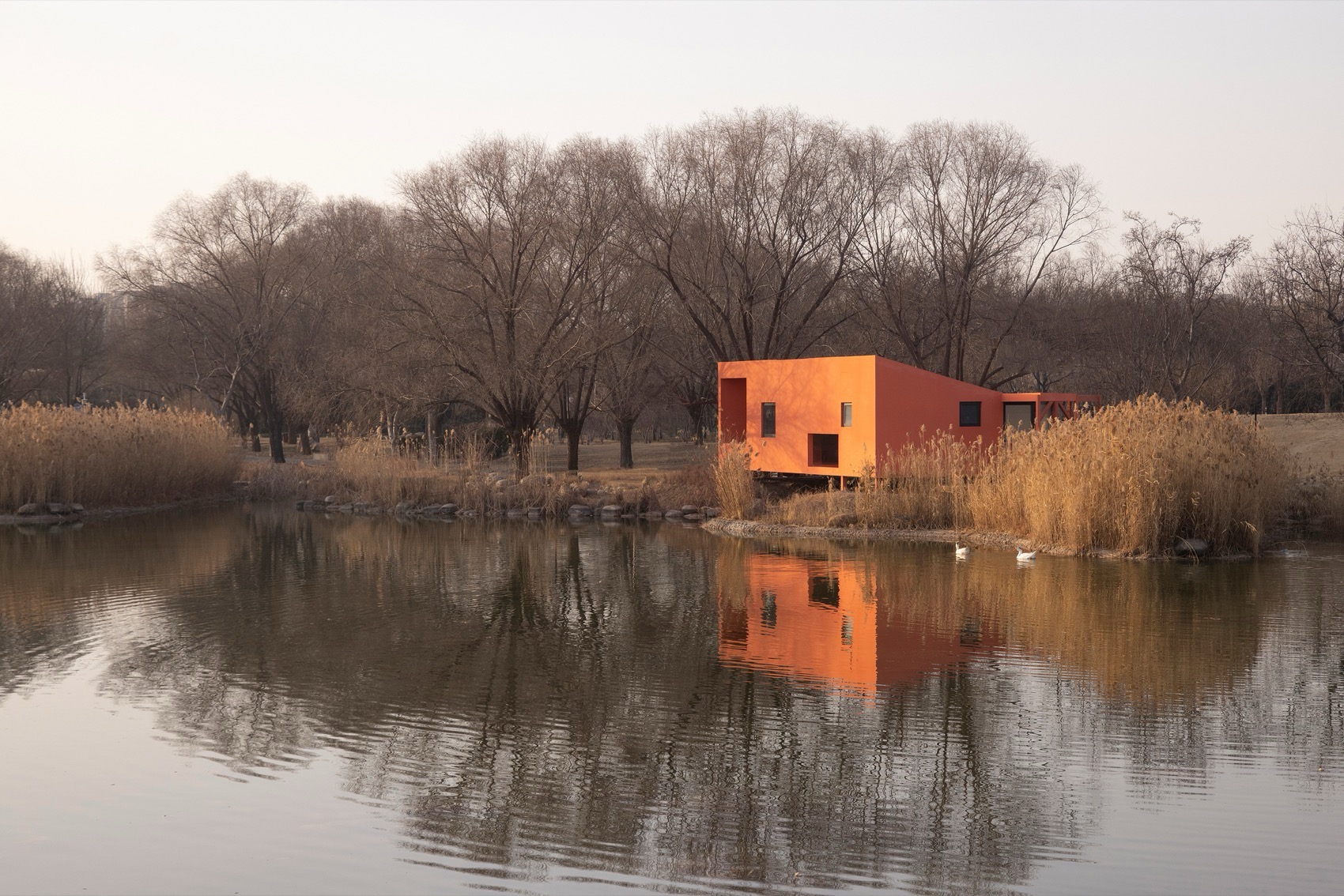 在水一方  [荒野之家 #138]丨中国郑州丨个个世界 Wiki World + 先进建筑实验室 AaL-12