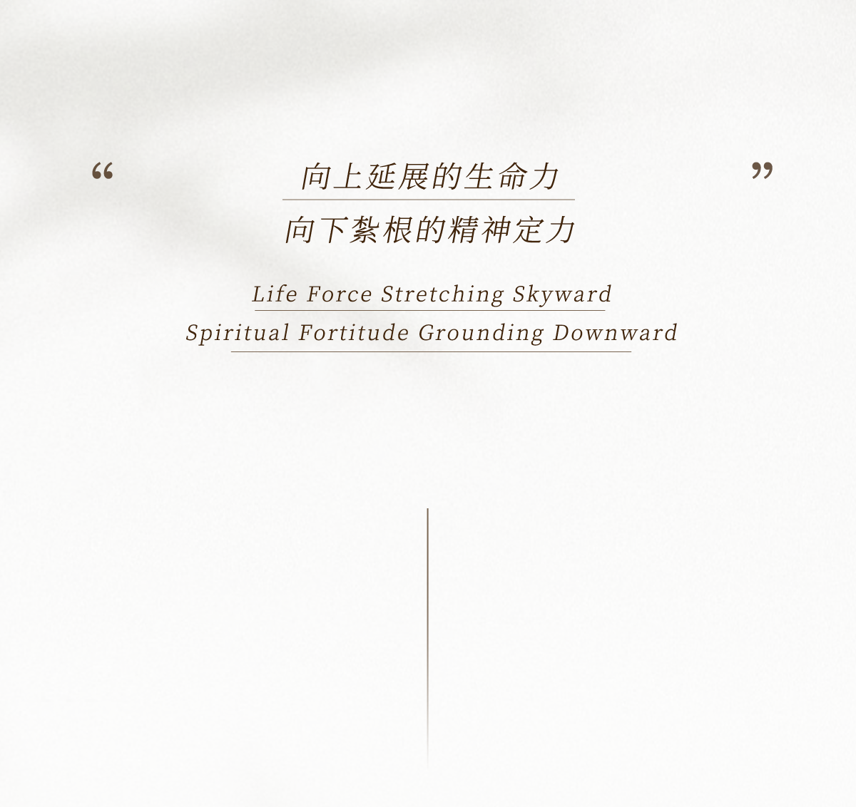 杭州滨江松川境丨中国杭州丨矩阵纵横（硬装）,矩阵鸣翠（软装）-1