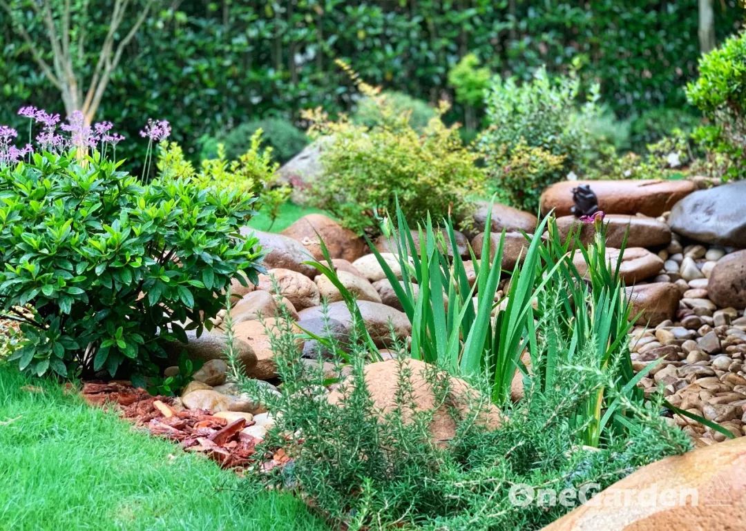 钱湖比华利 | 野性自然式花园的改造艺术-63