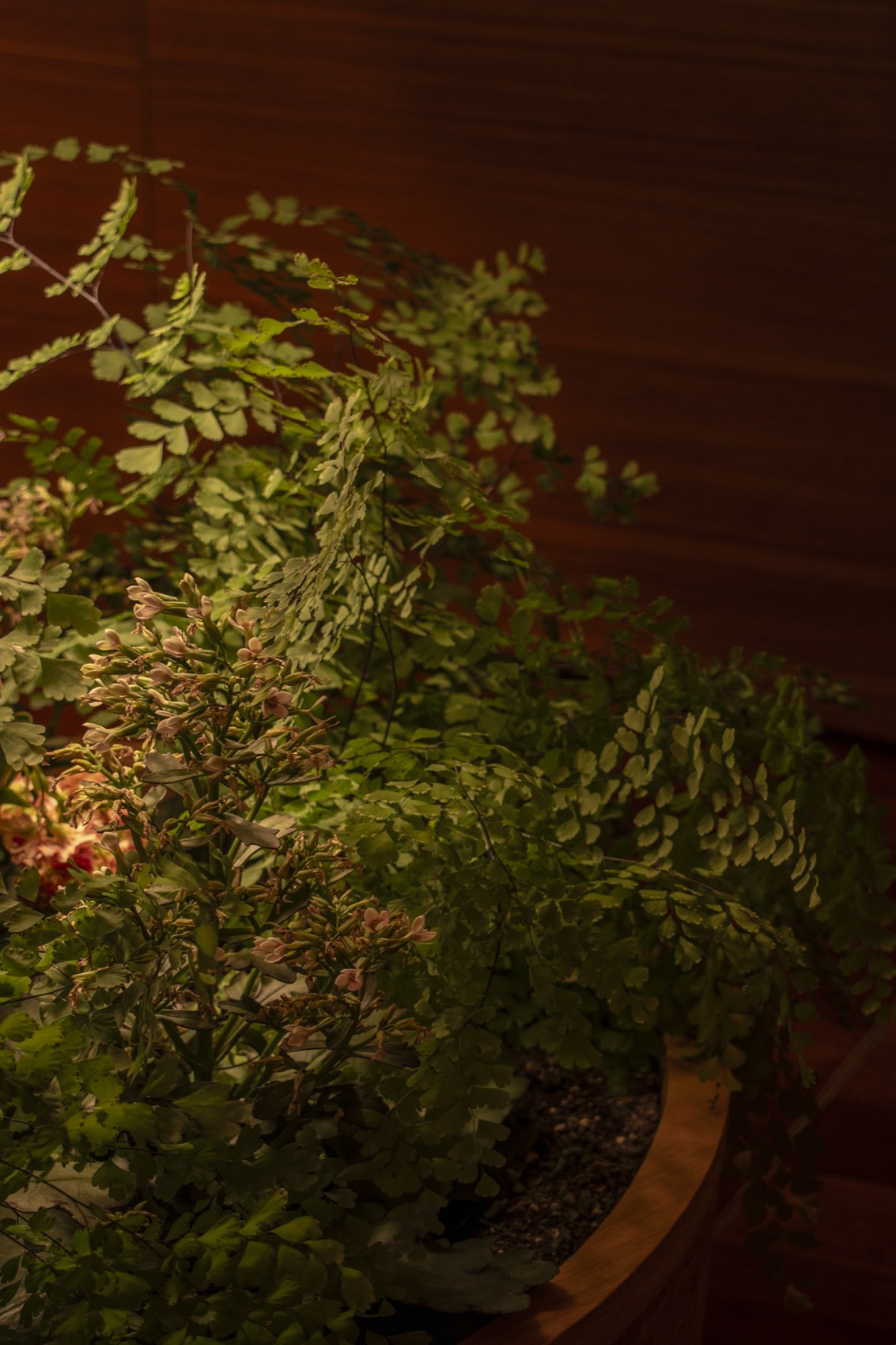 Blossom米其林博物馆餐厅丨西班牙马拉加丨Lago Interioriza-21