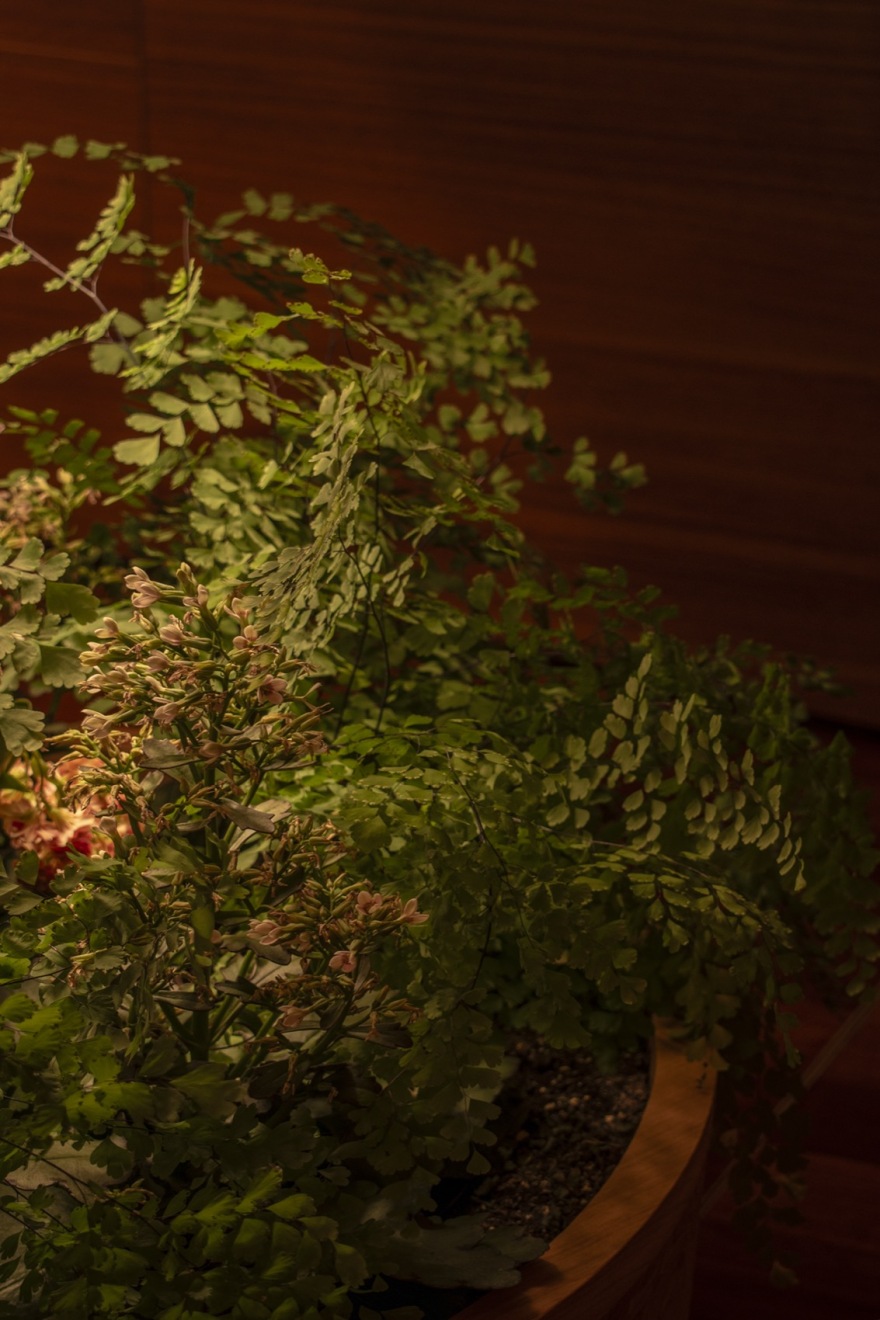 Blossom米其林博物馆餐厅丨西班牙马拉加丨Lago Interioriza-21