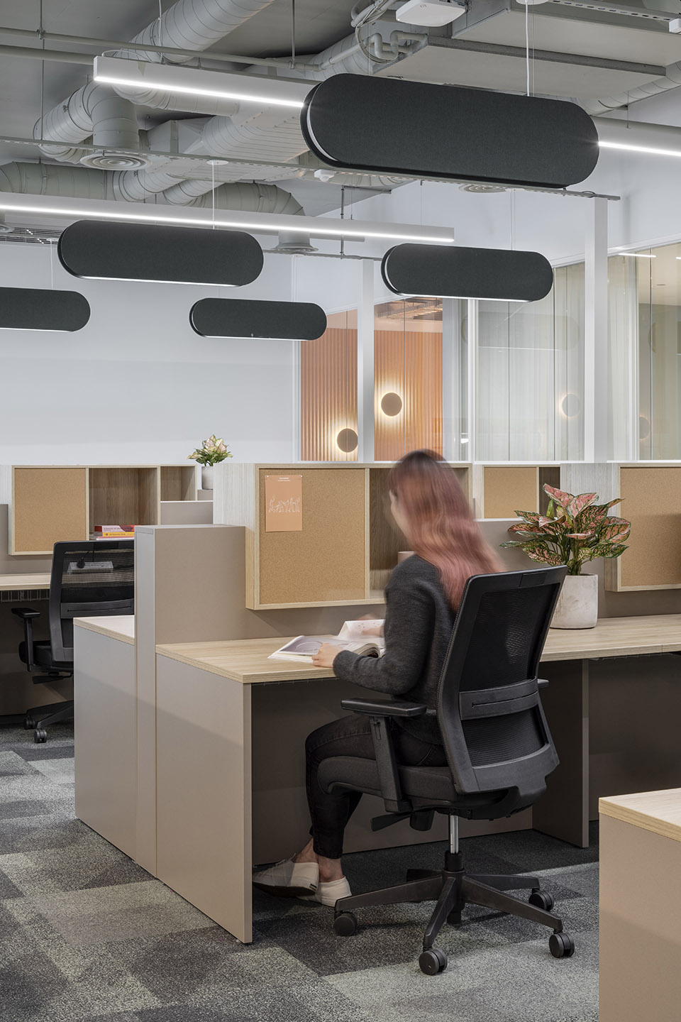 The Commons South Yarra共享办公空间丨澳大利亚墨尔本丨Foolscap Studio-26