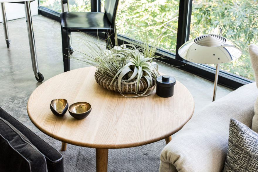 德州现代住宅的玻璃墙艺术-10