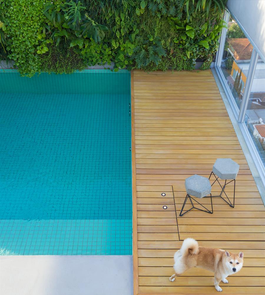 巴西 SP 市区公寓改造 | 混凝土与木质的完美结合-20