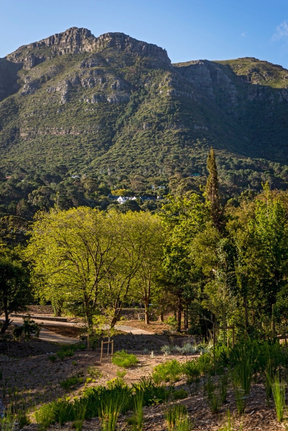 南非阿普尔加思庄园-30