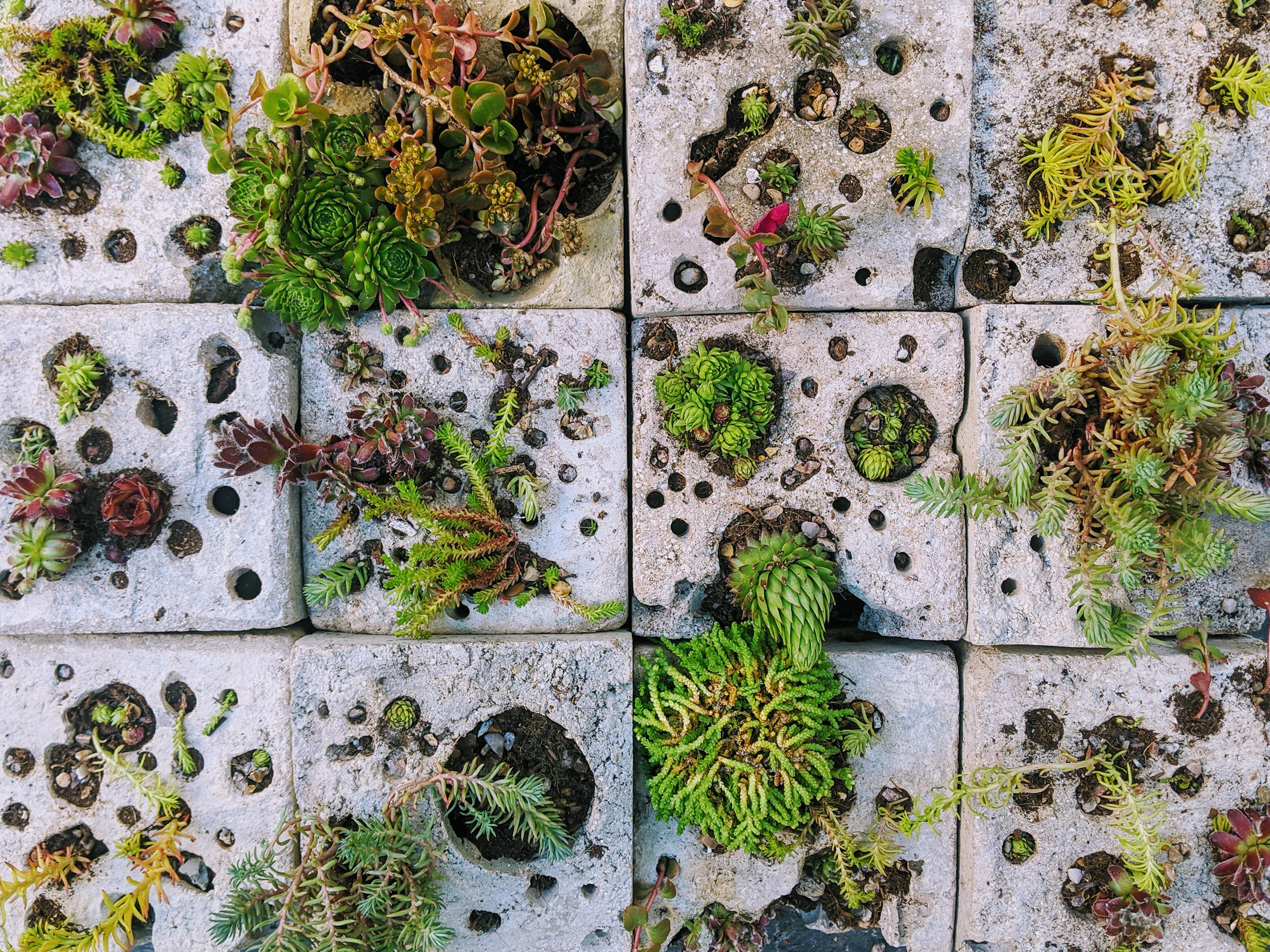 废弃物打造创意建筑 | 英国布莱顿学院学生获奖项目展-67