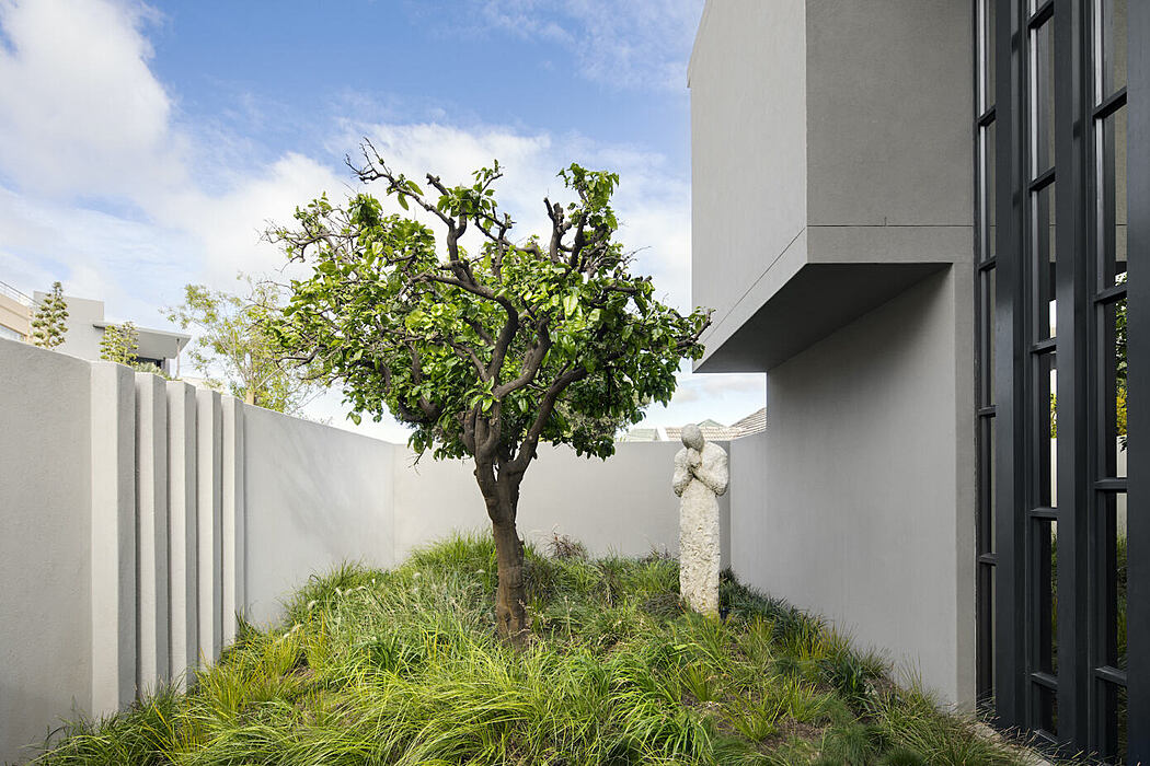 皮特洛赫里宅邸丨南非开普敦丨Fabian Architects & Make Studio-10