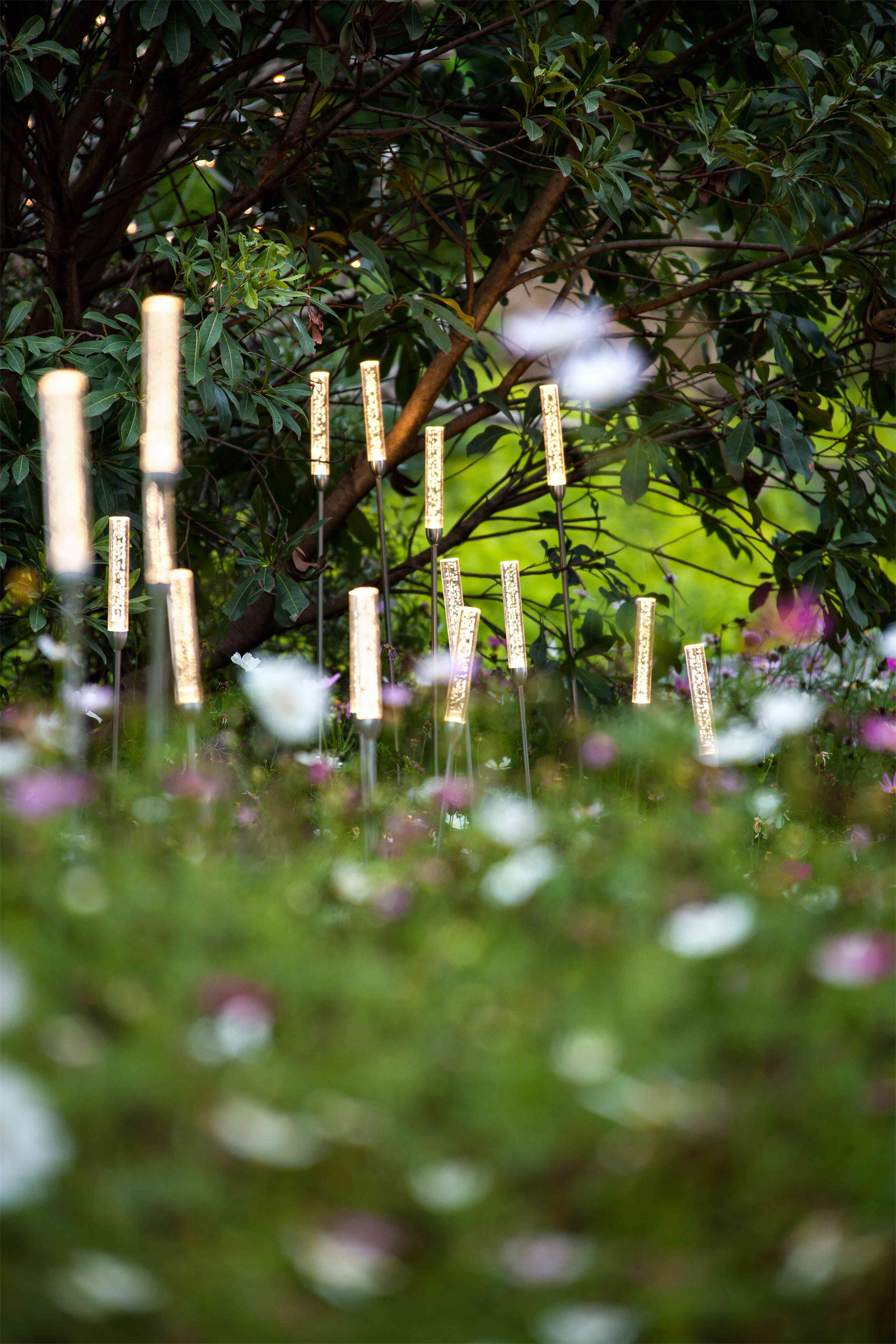 中山金色年华项目住宅景观丨中国中山-6