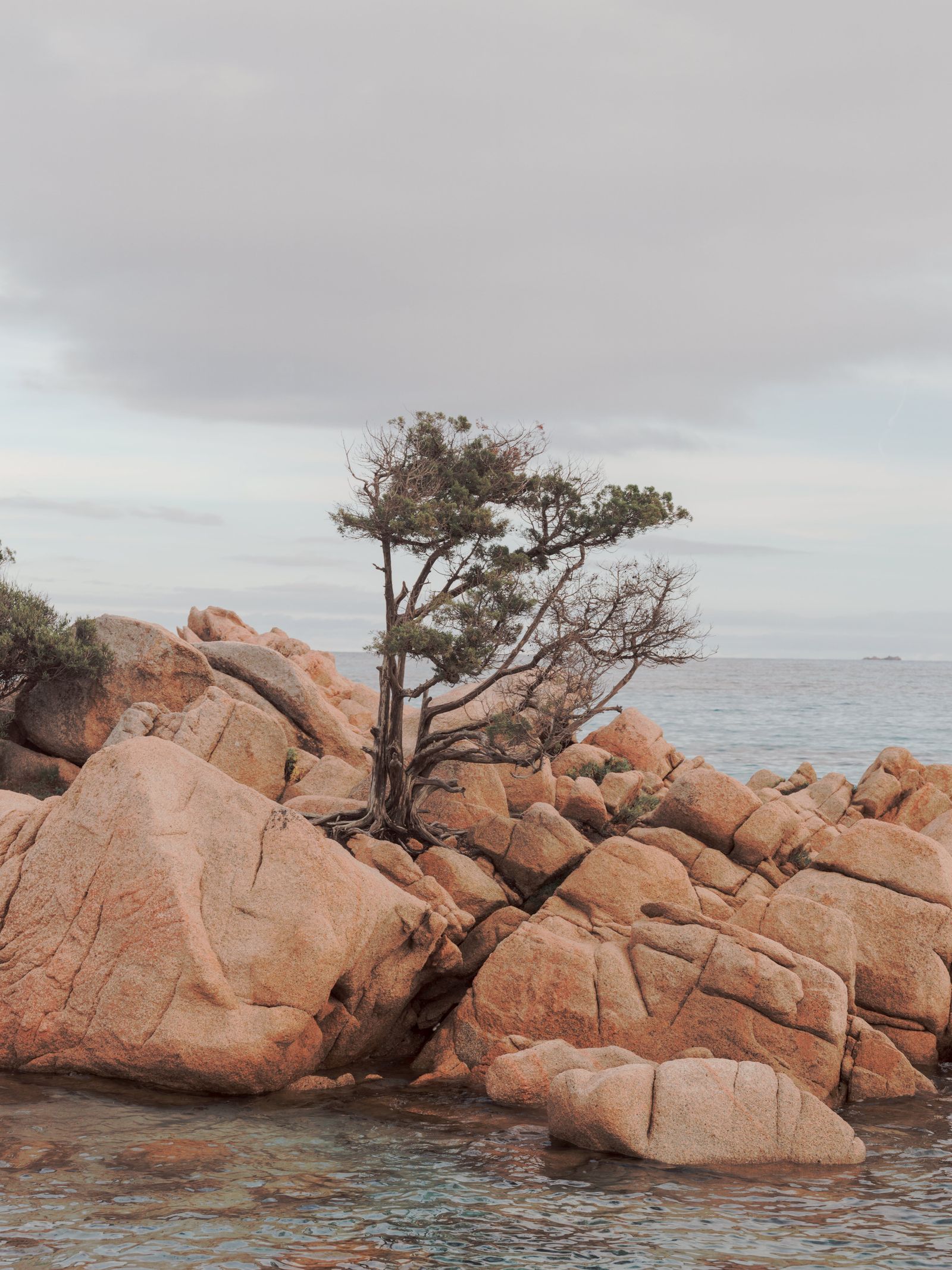 撒丁岛有机美学别墅改造项目丨意大利-30