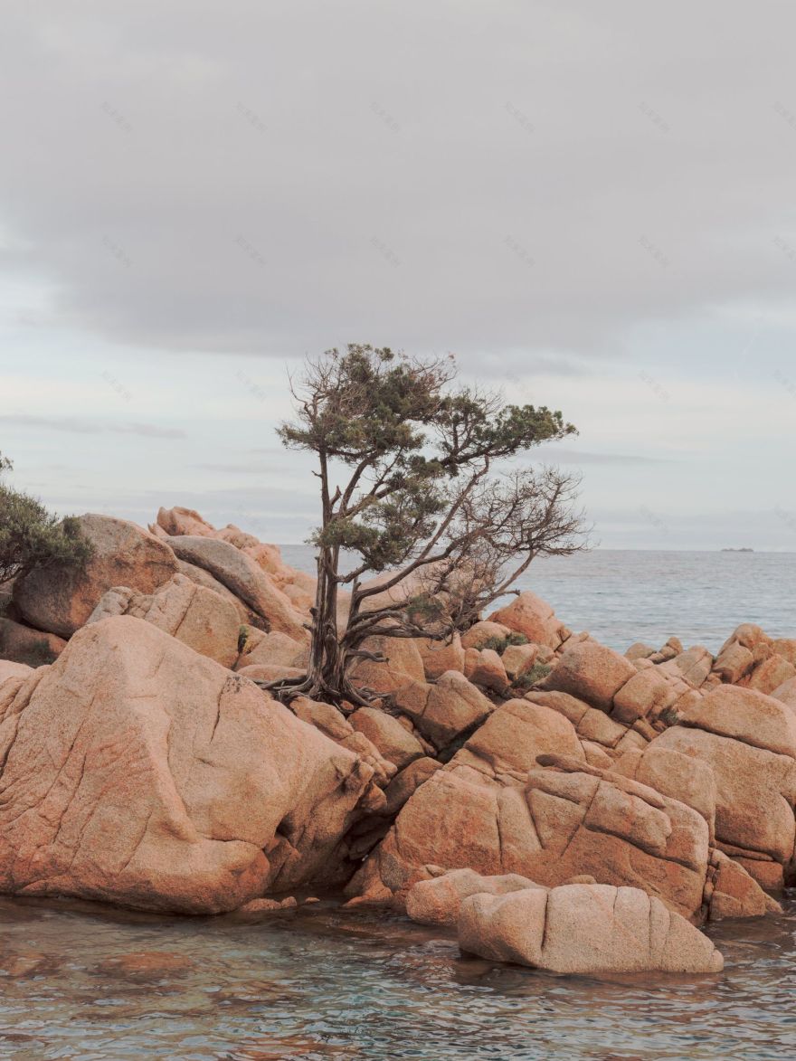 撒丁岛有机美学别墅改造项目丨意大利-30