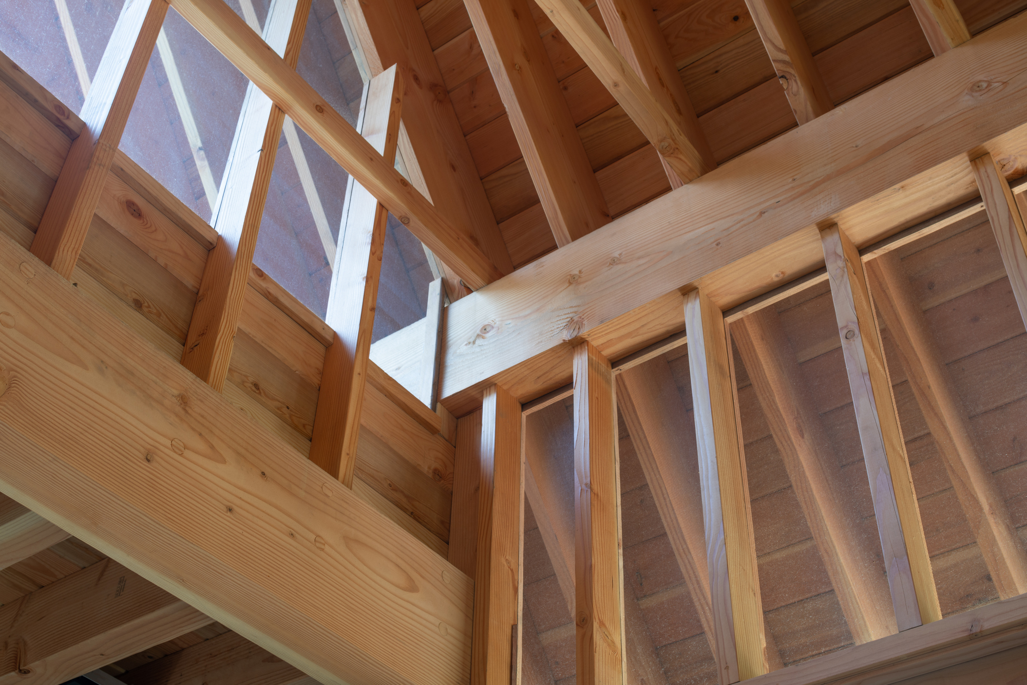 沼泽谷丨美国丨BLDUS-30