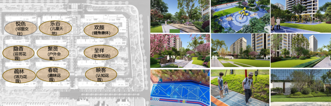 新西塘孔雀城天樾府 | 水韵都会，精工品质-20