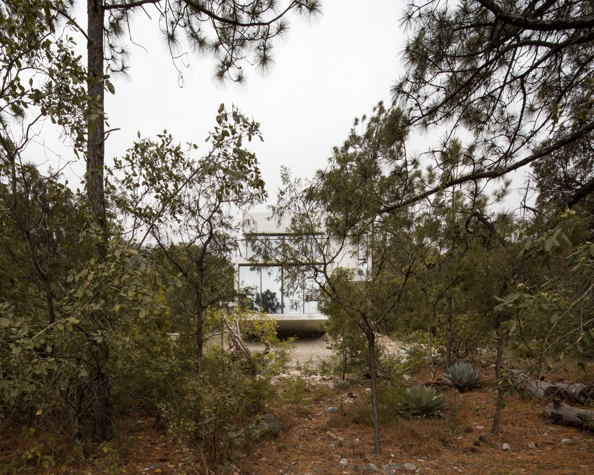 墨西哥山林木屋-45