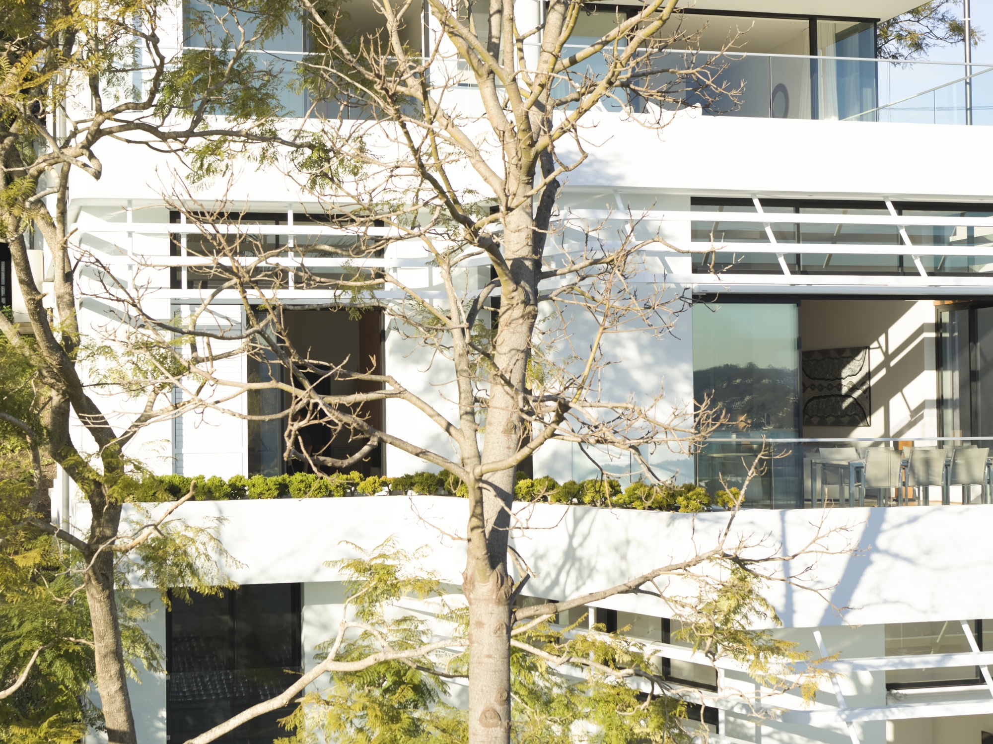 地球之船房屋丨澳大利亚丨Luigi Rosselli Architects-42