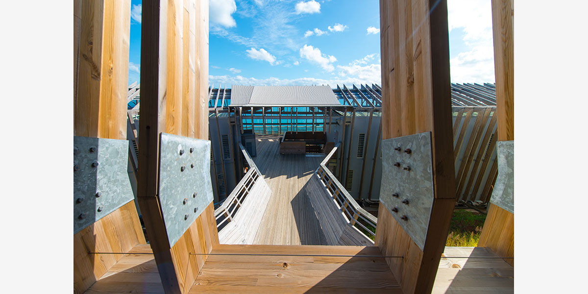 丨CoCo architecture等多家-53