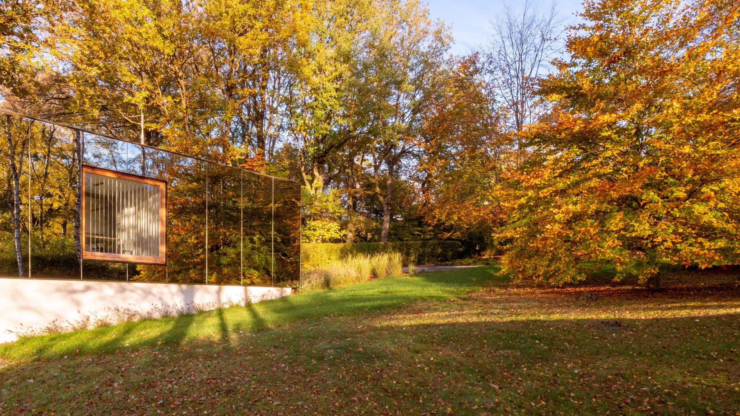 比利时森林中的“隐身”建筑-20