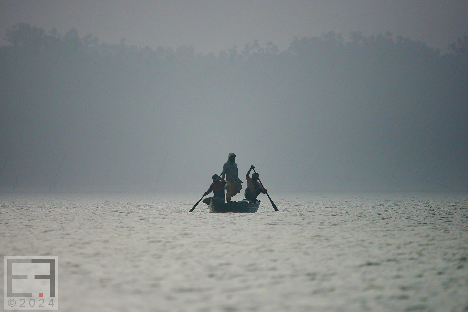孟加拉国孙德尔本斯红树林保护与开发-7