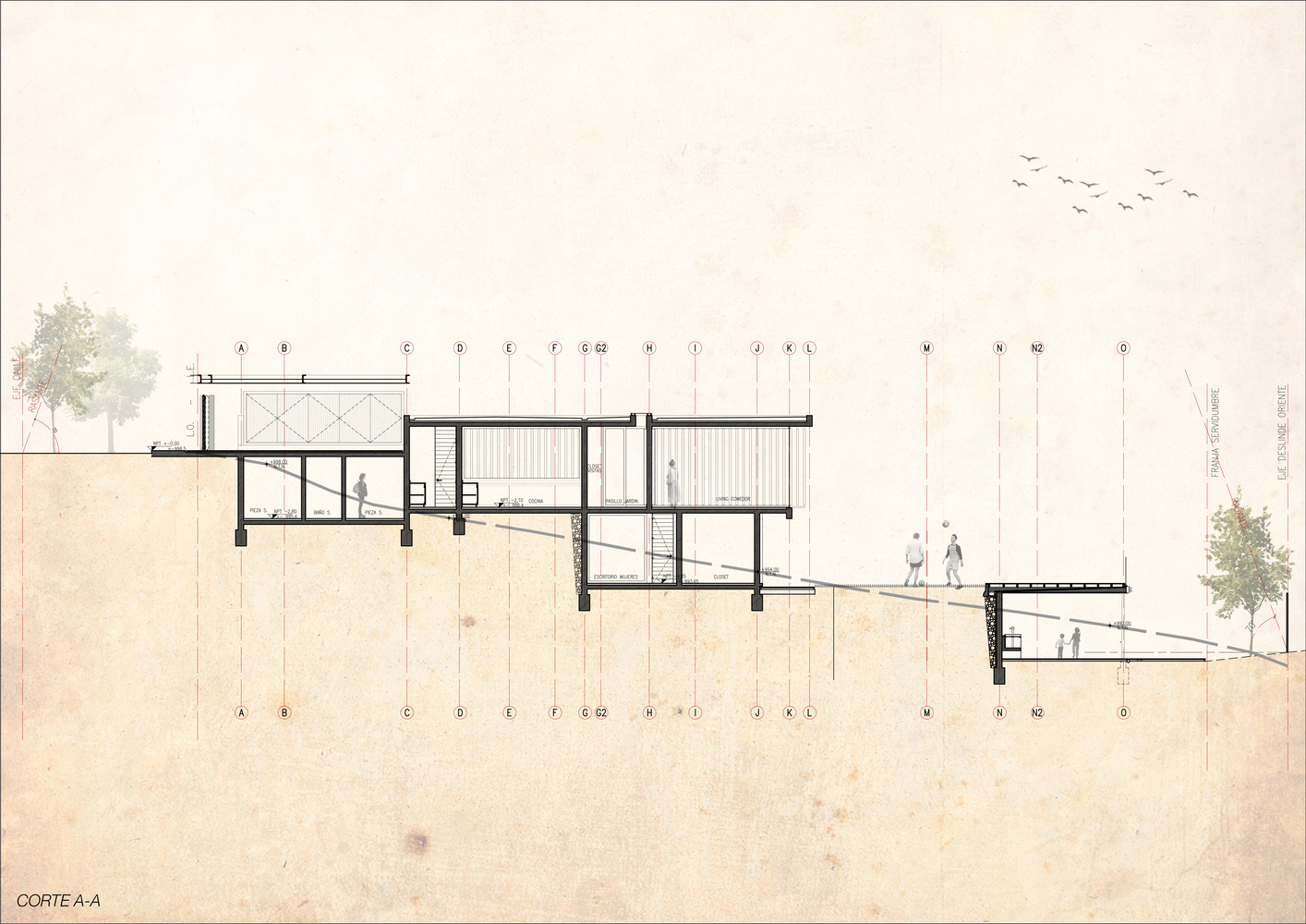 智利 PF House 丘陵景观中的宜居设计-14