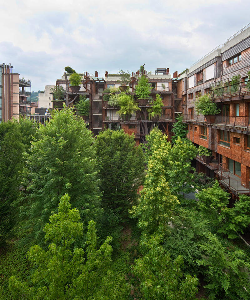 都灵 25 号绿园 · 创新树屋设计丨意大利都灵丨卢西亚诺·皮亚-10