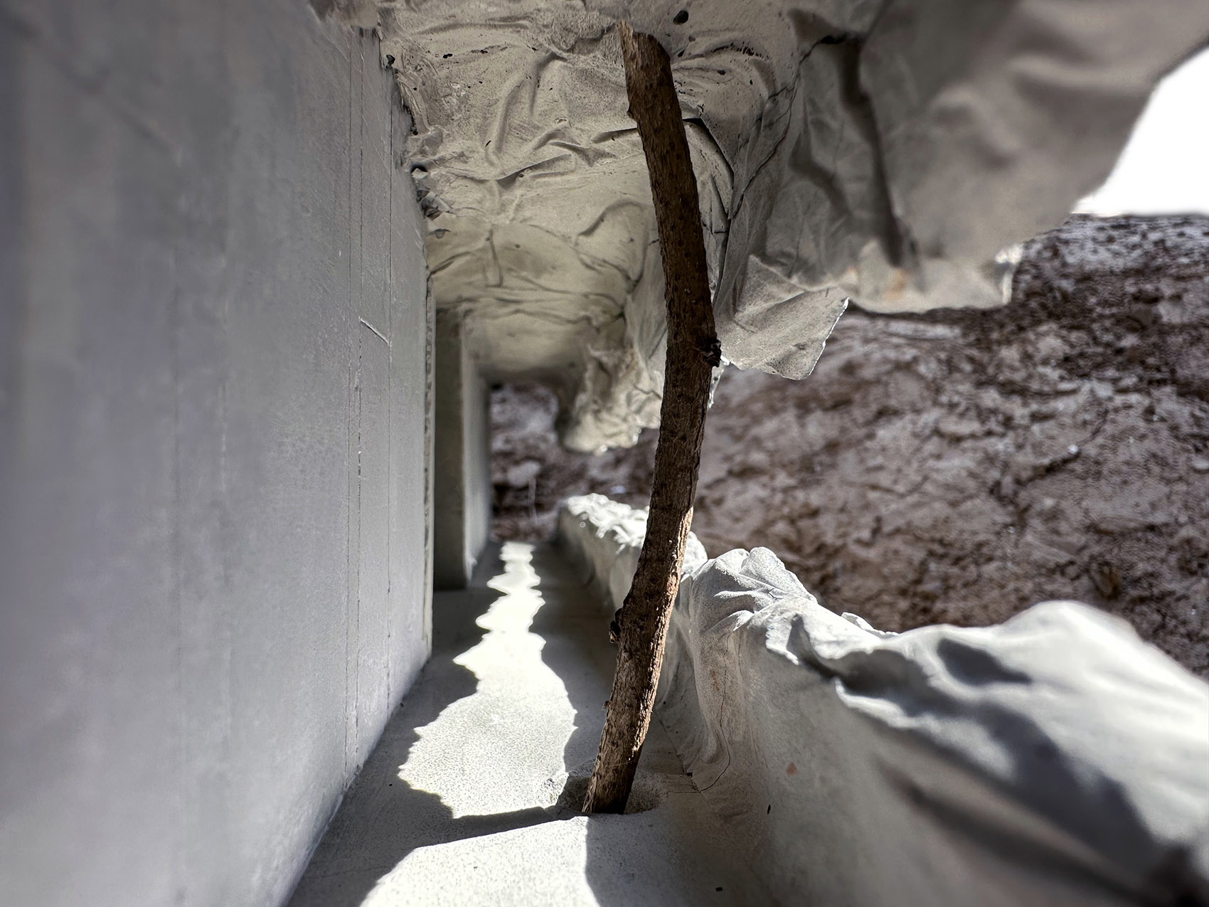 谷里的窗,树上的云,南京四方艺术湖区公共卫生间丨中国南京丨南京大学建筑规划设计研究院有限公司 物物建筑-185