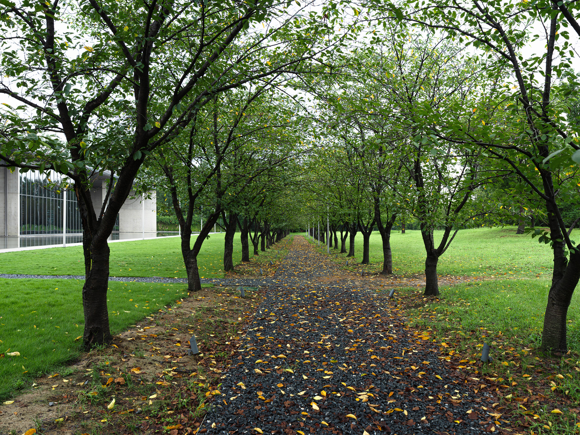 Liangzhu Village Cultural Art Center | TADAO ANDO-8