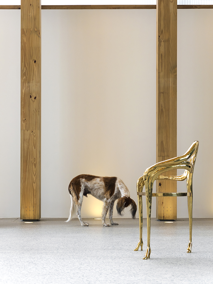 MICASA VOL C studio mk27-16