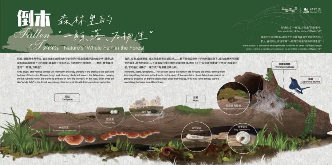 LAF设计实践收录|深圳市东湖公园郊野徒步径与自然教育径营建实践与反思-23