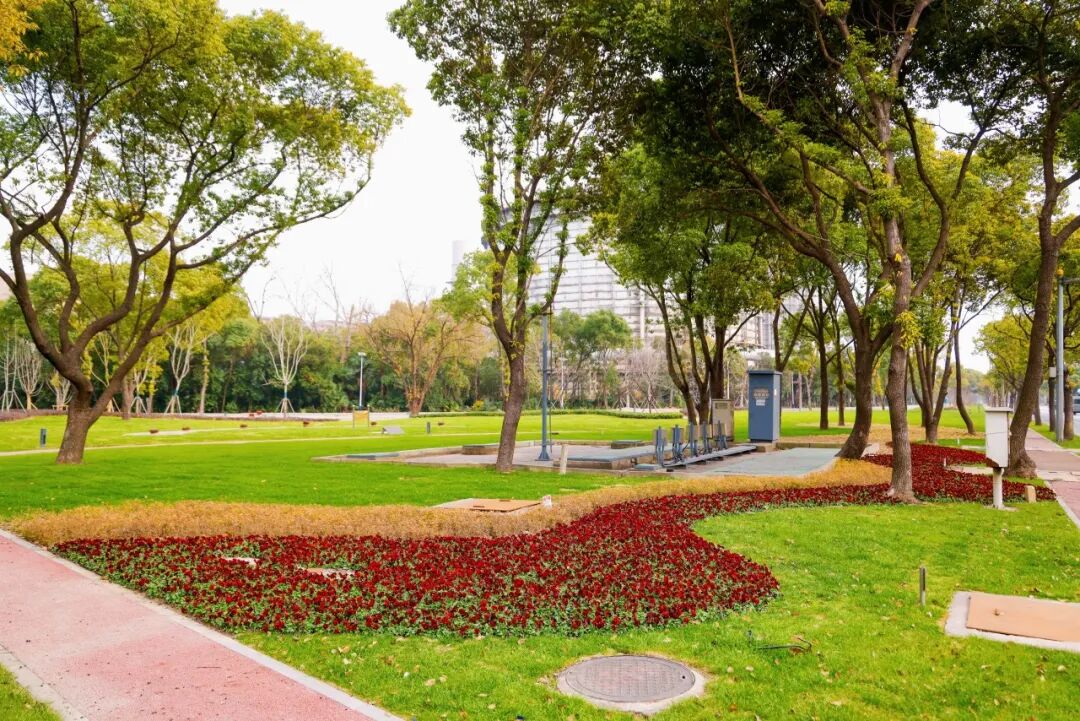 绿化养护｜“智”护钢铁绿洲：宝钢宝山基地的绿色呼吸由我们来守护-46