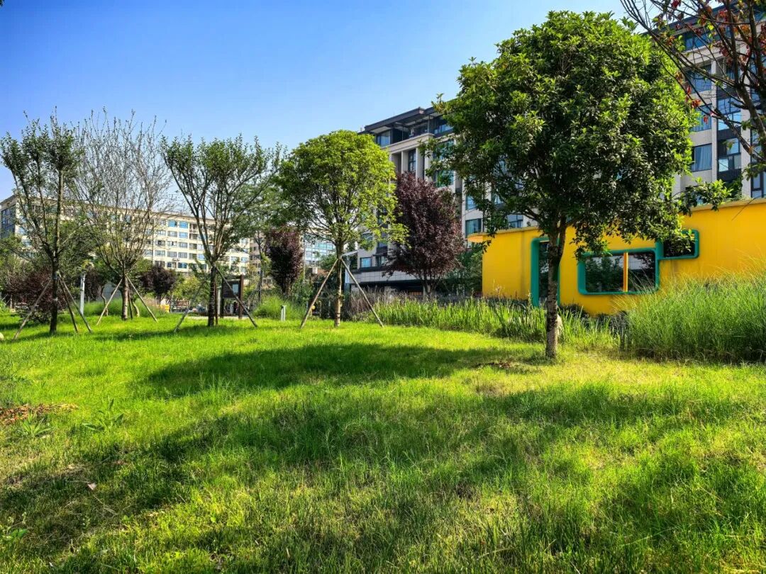 打卡城市“金角银边”丨活力四射的中环晓院儿童友好社区-15