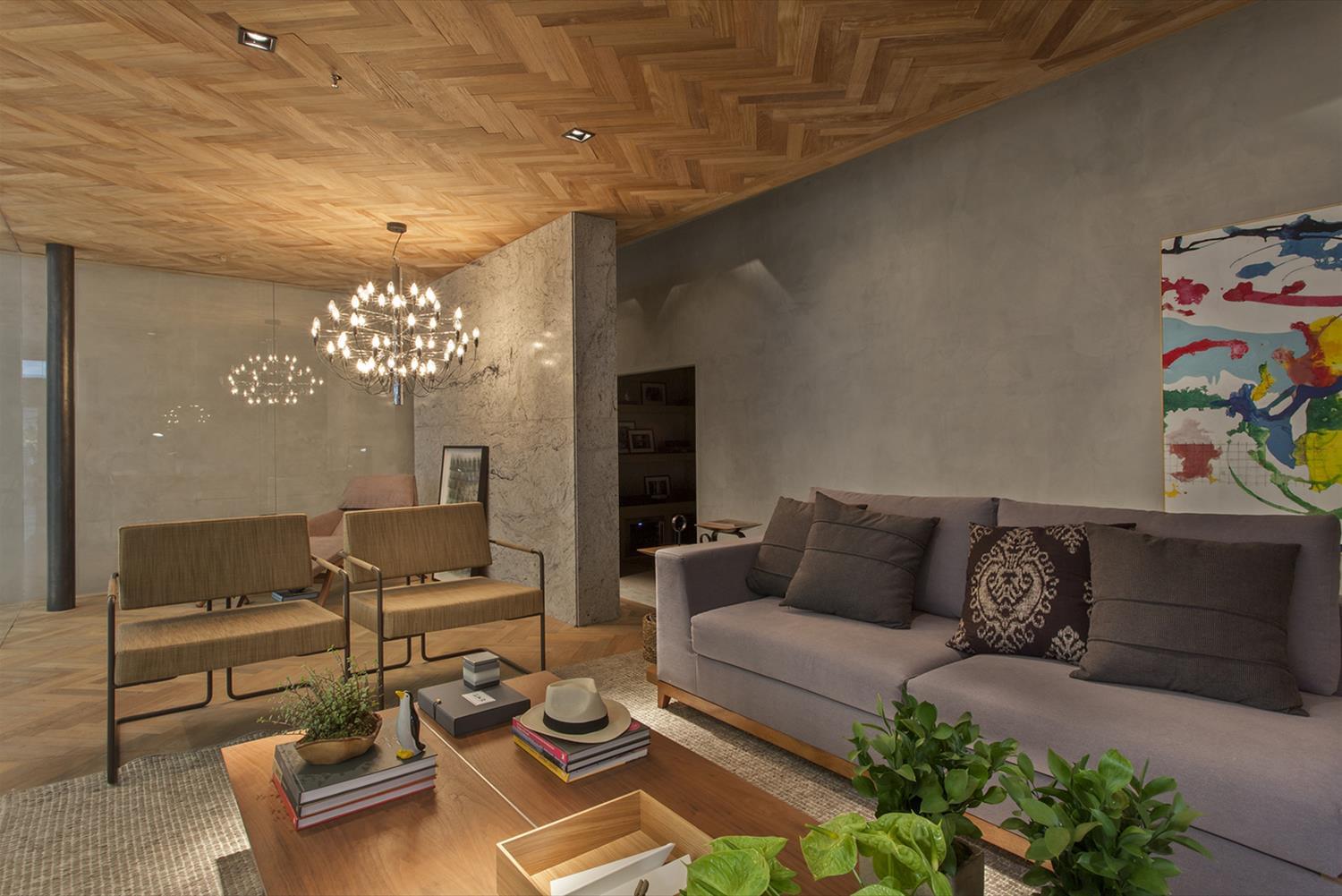 巴西 Campinas 2015 家居入口大厅设计-1