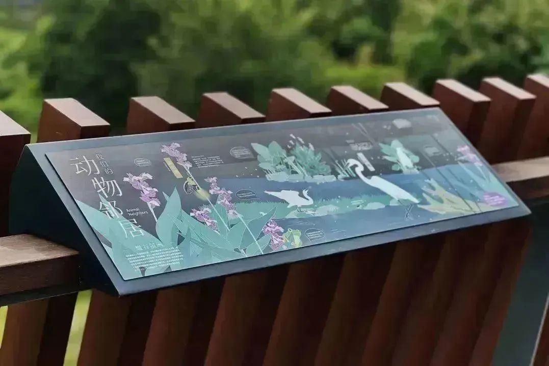 广州南岗河生态修复项目丨中国广州丨AECOM团队-58