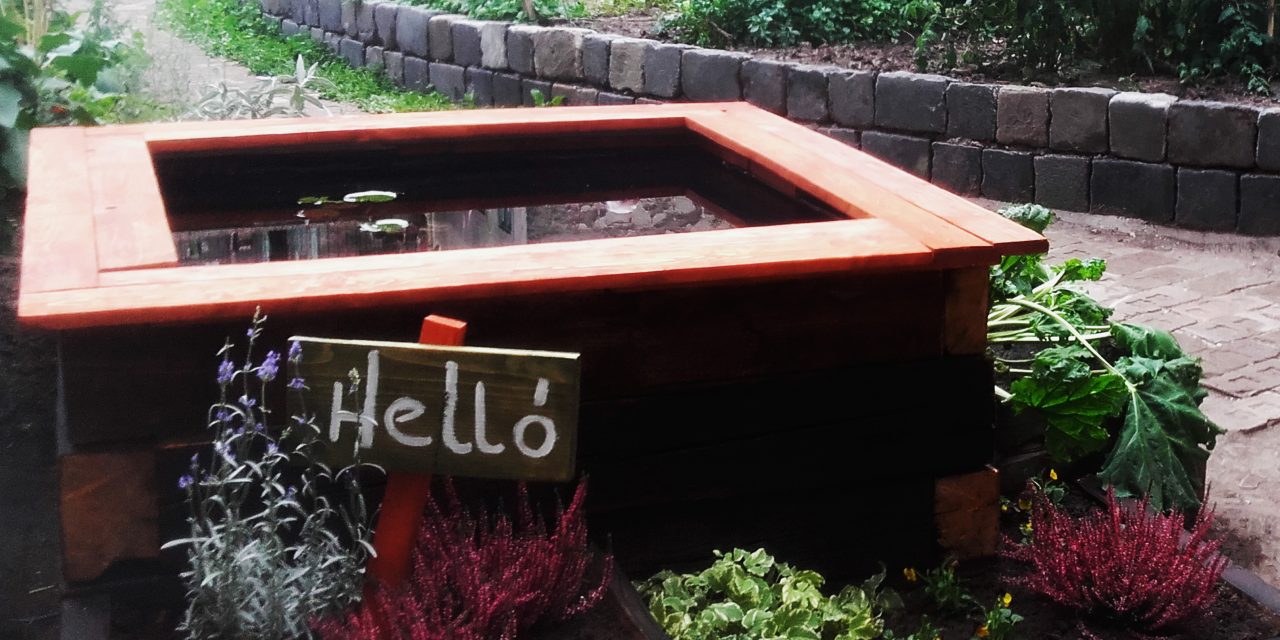 Kisdiófa Közösségi Kert特色水池（或泳池）项目丨匈牙利布达佩斯-1