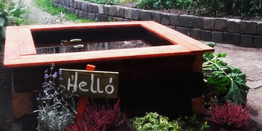 Kisdiófa Közösségi Kert特色水池(或泳池)项目丨匈牙利布达佩斯-1