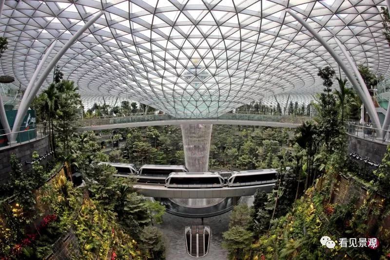 星耀樟宜 | 雨漩涡与绿意交织的机场奇迹-37