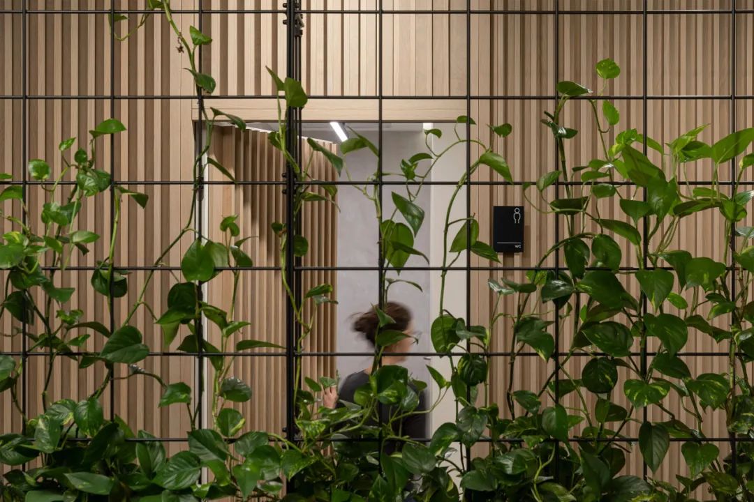 索非亚 GTC 办公室丨保加利亚索非亚丨Cache atelier-10