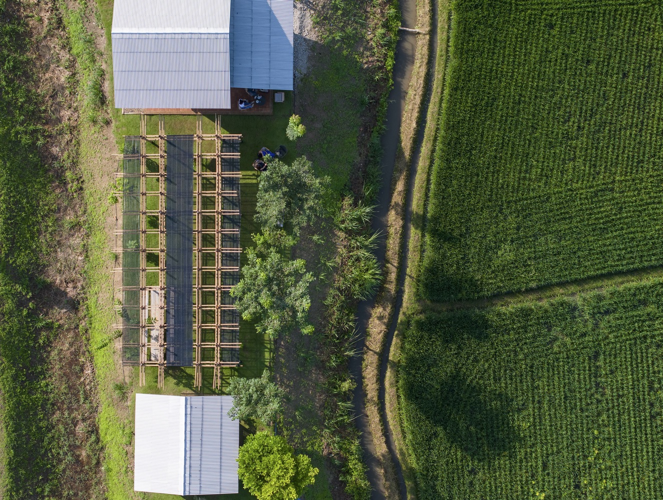 Thingamajiggy 咖啡烘培室丨泰国清迈-17