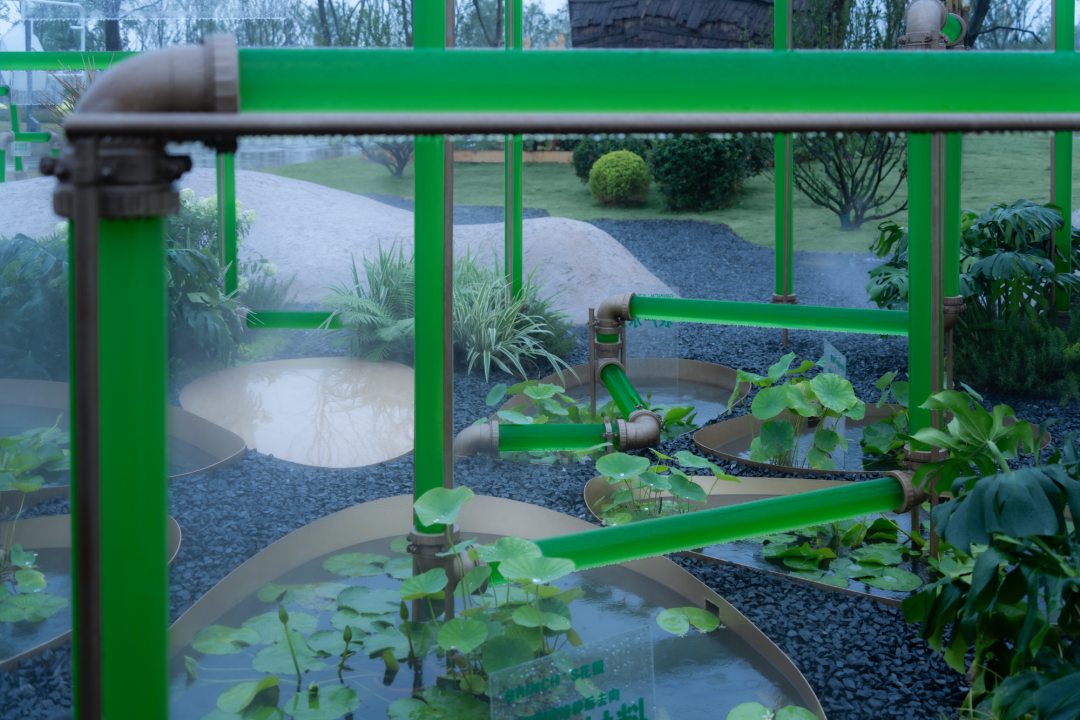 微藻实验花园：景观设计中的绿色新篇章-36