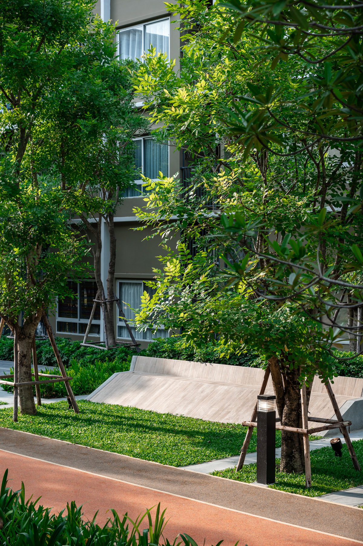 活力大区(Plum Alive)-25