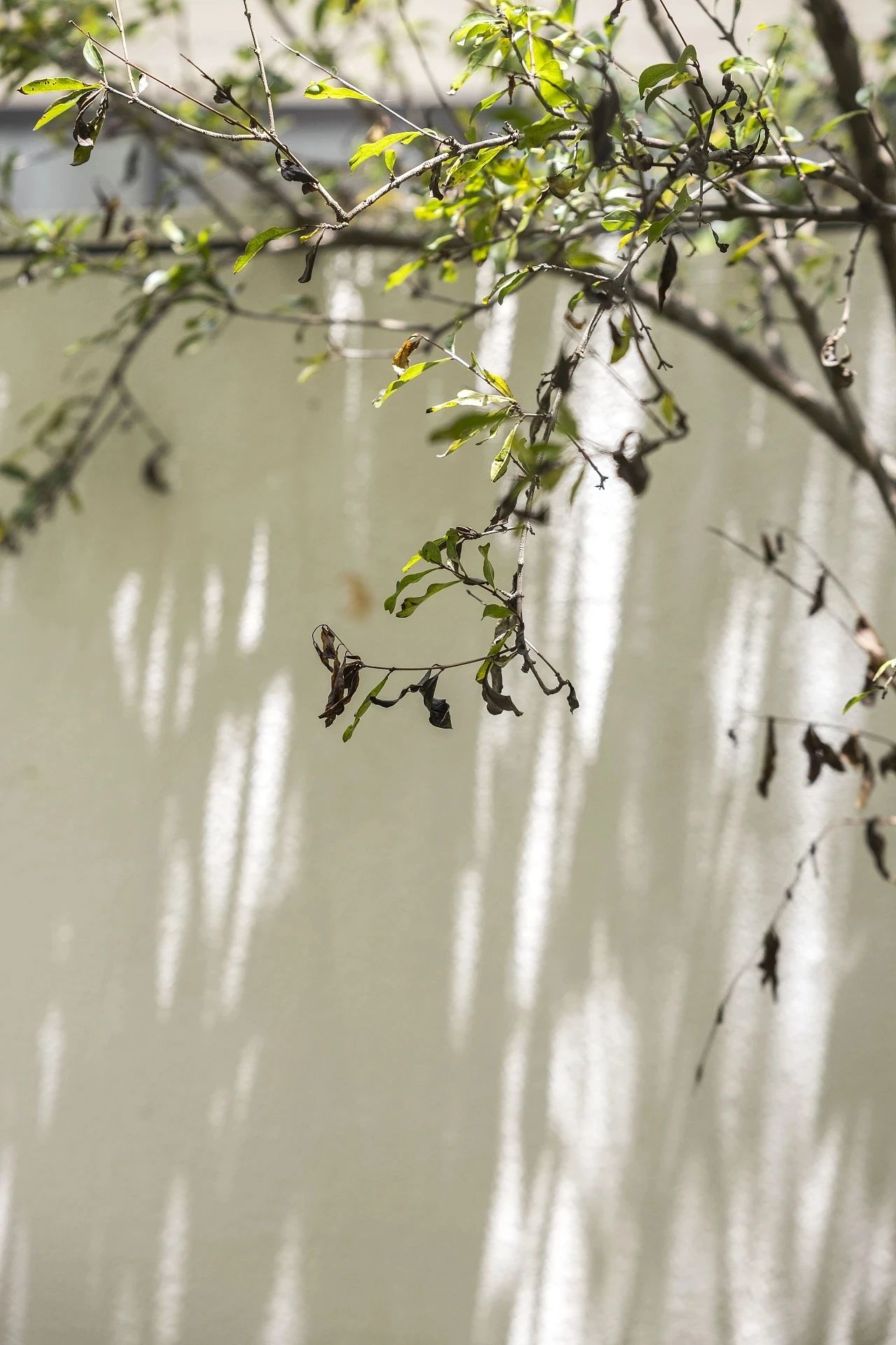 环球融创梓山湖未来城叠墅丨中国咸宁丨赛拉维设计-120