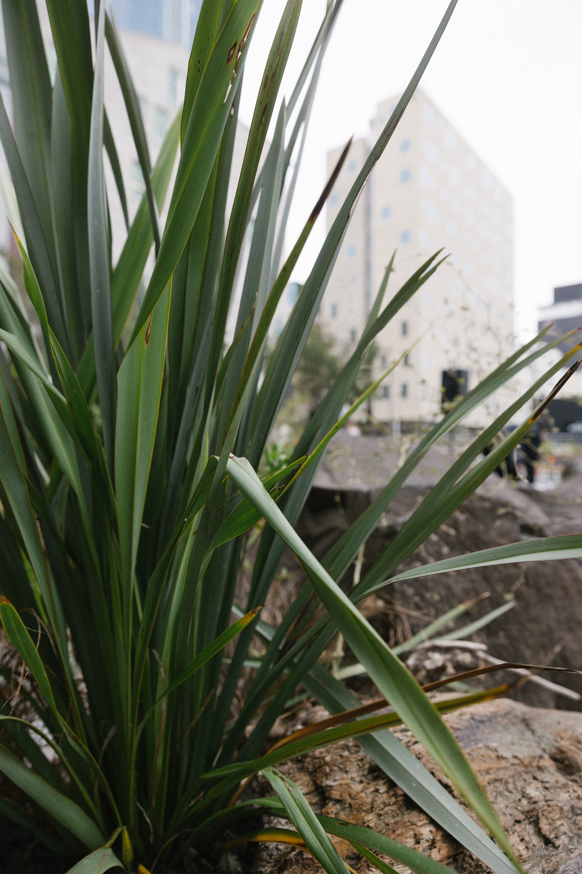 Maggie Marilyn - Xanthe White Design-27