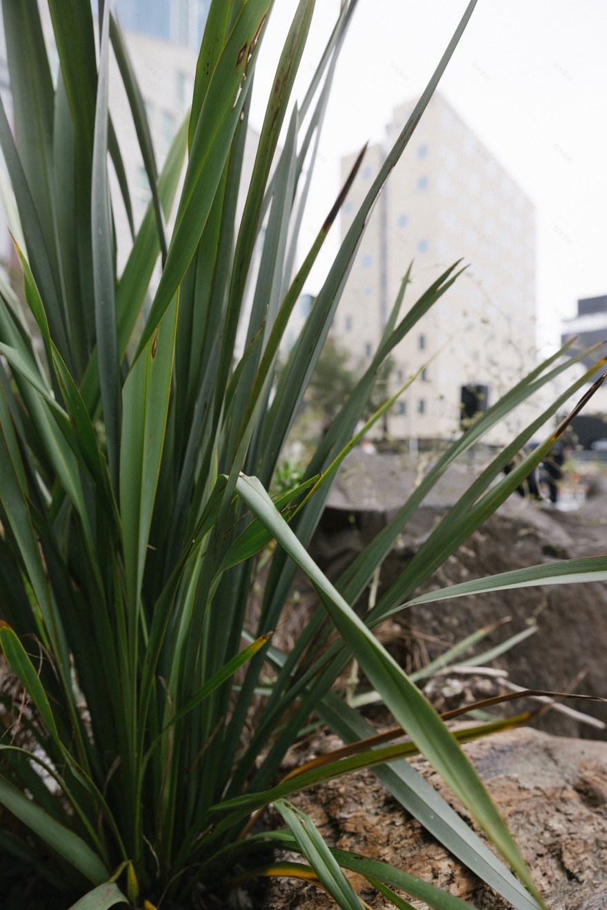 Maggie Marilyn - Xanthe White Design-27