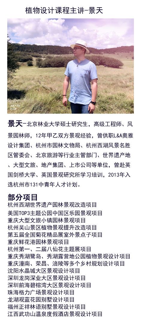 花境设计常用 60 种植物，让花园变得绚丽多彩-186