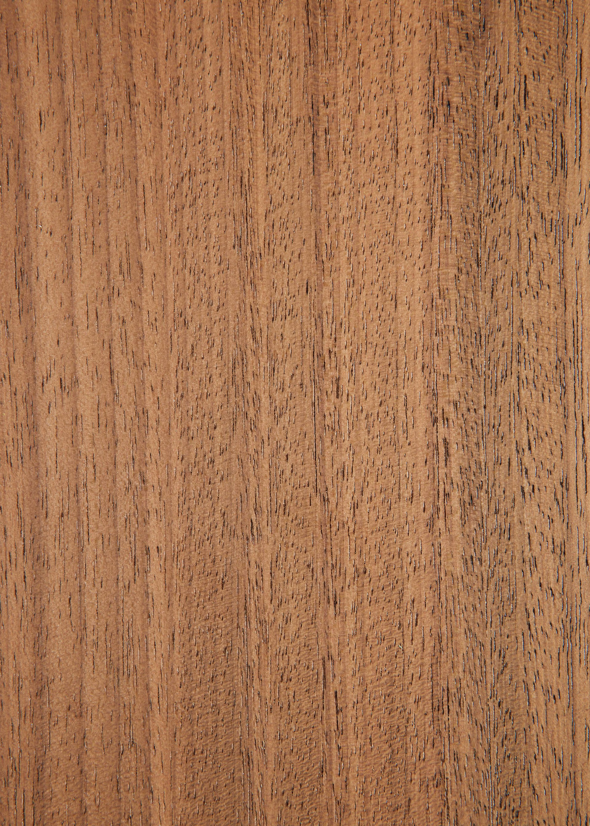 WZC Maria Assumpta 养老护理建筑丨Laurijssens Architects-0