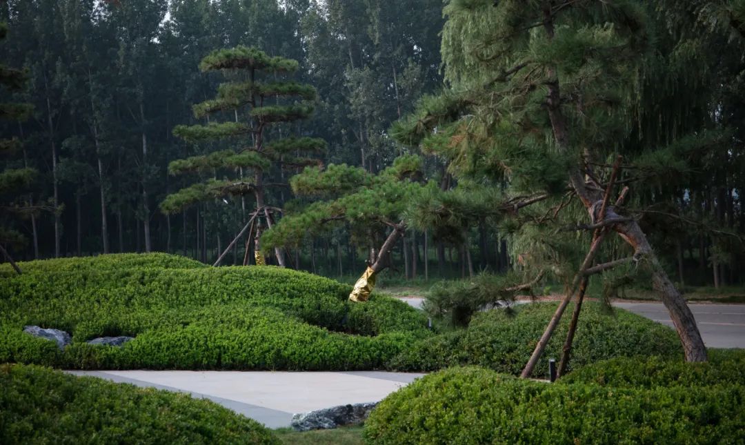 稼轩文旅城美好生活服务中心示范区丨中国济南丨上海栖地景观规划设计有限公司-5