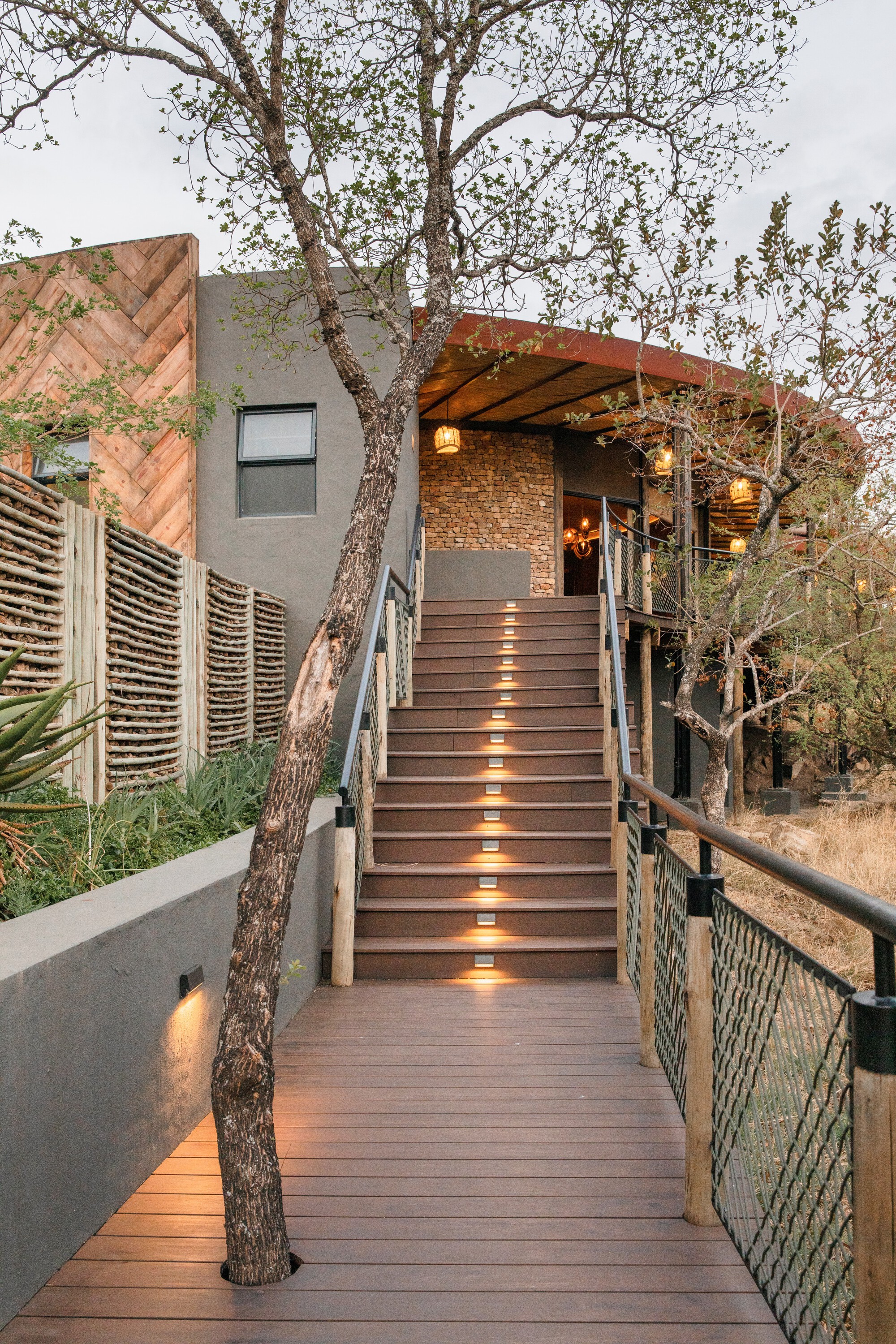 丨南非丨Luxury Frontiers-34