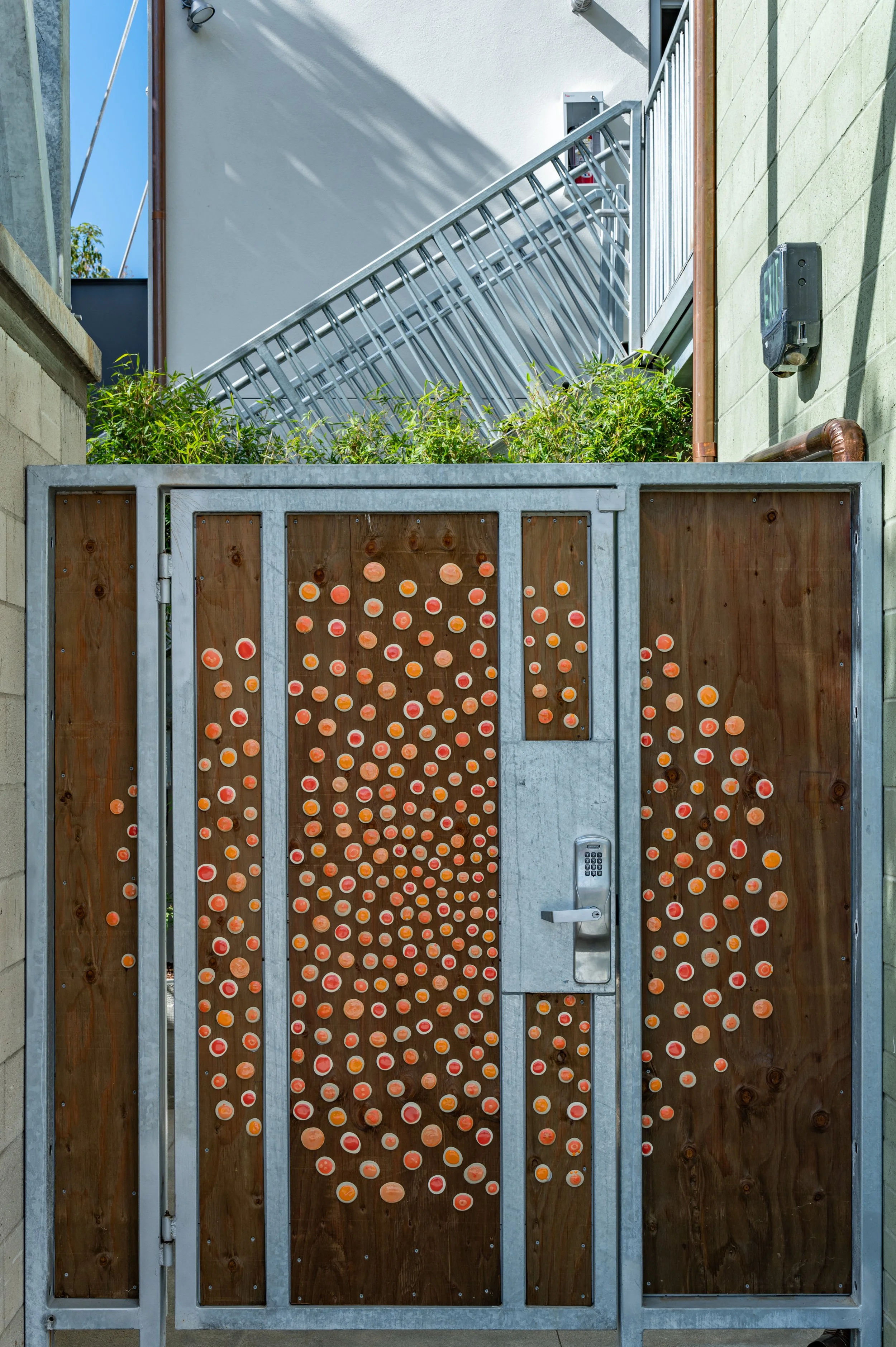 达芙妮·麦卡洛 · 圣地亚哥丨美国-35